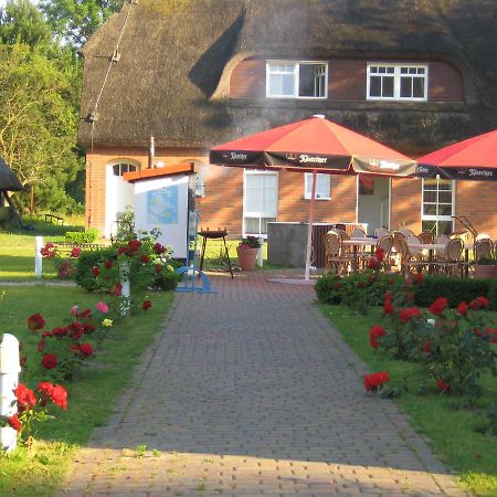 Hotel Alt Wittower Krug Вик Экстерьер фото